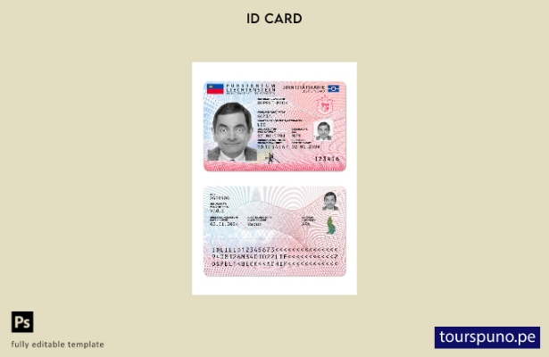 Listo para imprimir la plantilla actual de tarjeta de identificación de Liechten